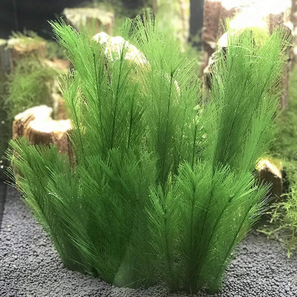 Aquarium Plants Live - 1/3Pcs 28/40cm Aquarium Fish Tank Artificial