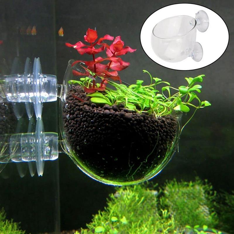 Plant Aquarium Pot - Aquarium Decorations Plant Cup Pot Acrylic