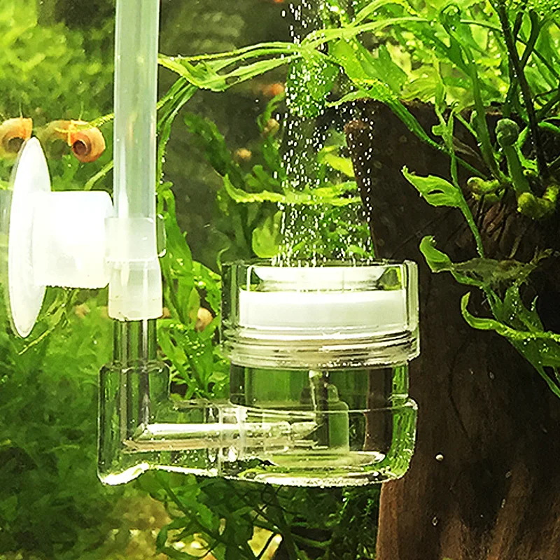 Live Plant Aquarium - Aquarium 4 in 1 CO2 Diffuser