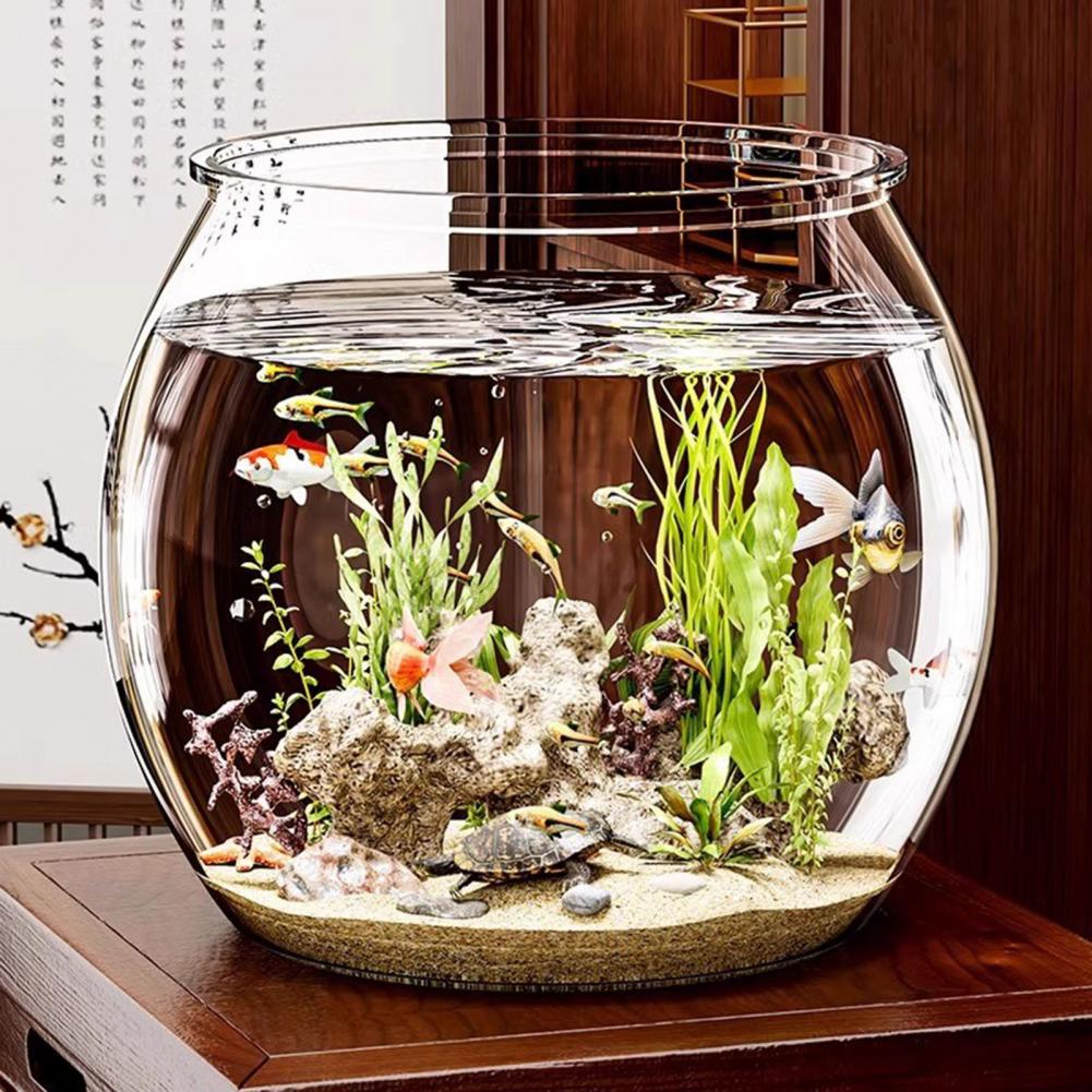 Plant Aquarium Pot - Clear Plastic round Fish Bowl Aquarium