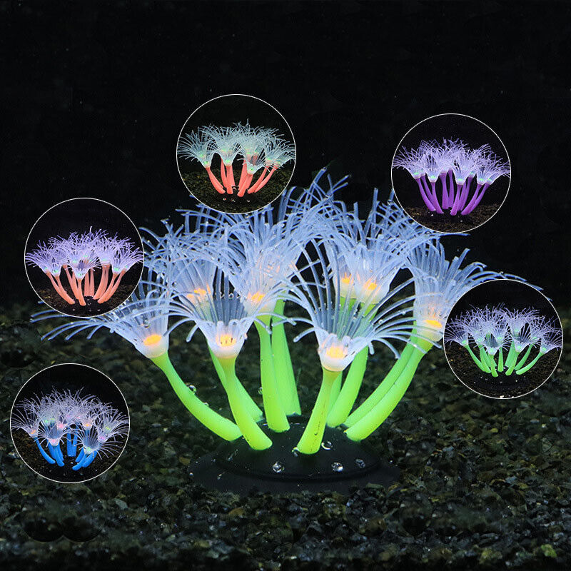Silicone Glowing Landscape Art - огляд і ціна Aquarium Plants Live