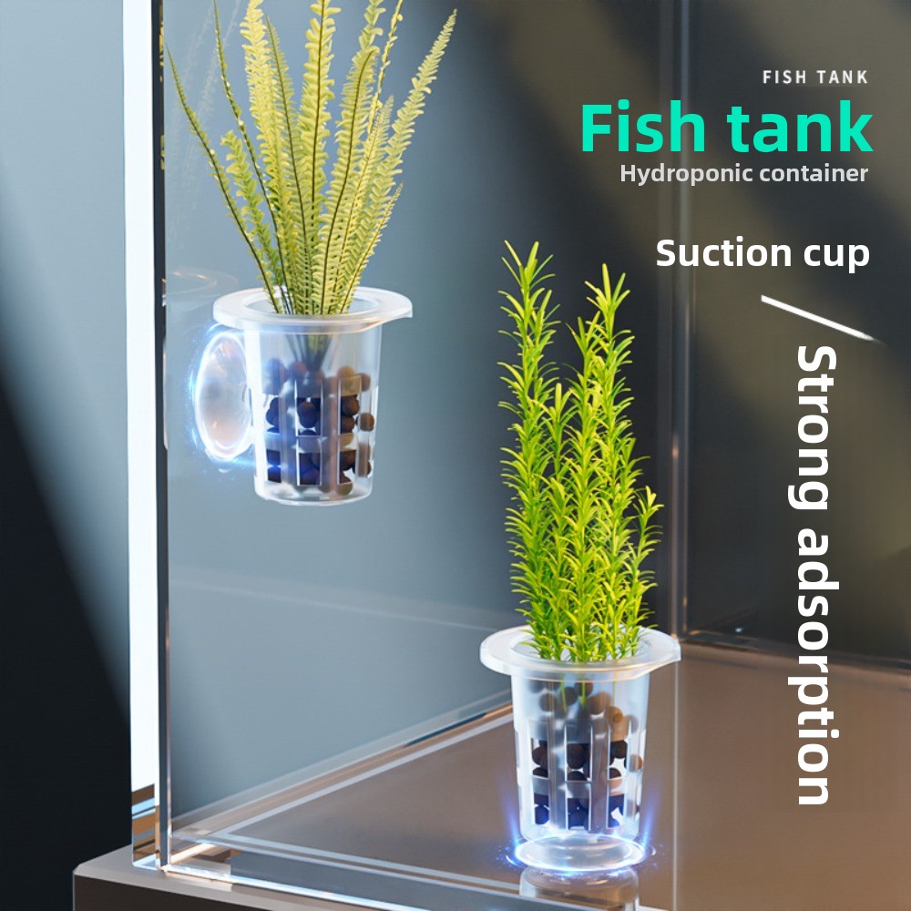 10Pcs Transparent Plant Hydrop - огляд і ціна Plant Aquarium Pot