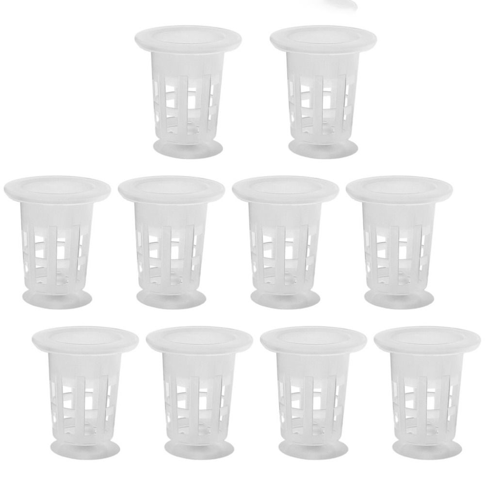 10Pcs Transparent Plant Hydrop - огляд і ціна Plant Aquarium Pot
