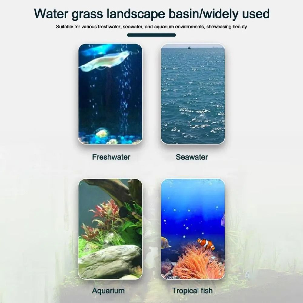 10Pcs Transparent Plant Hydrop - огляд і ціна Plant Aquarium Pot