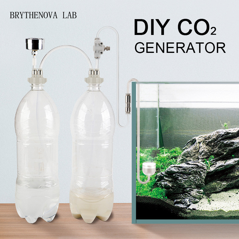 CO2 Generator Aquarium Planted - огляд і ціна Aquarium Moss