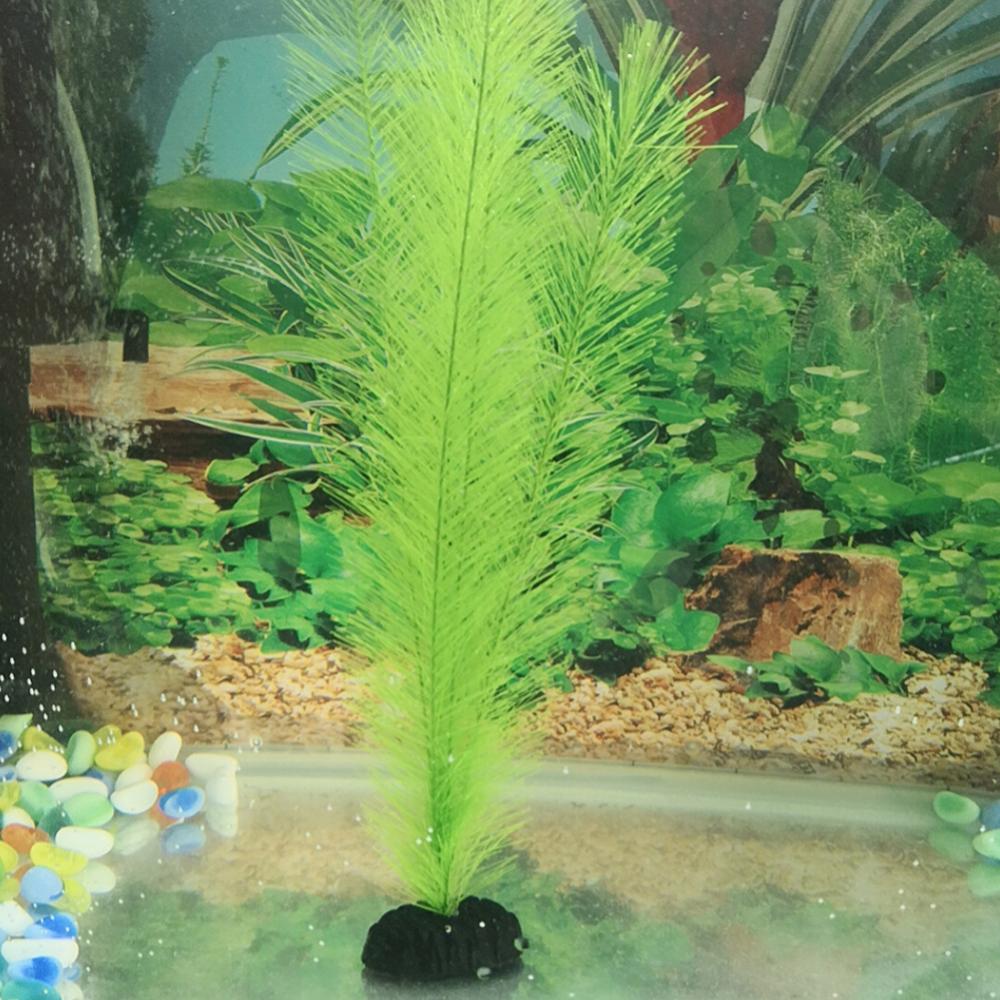 1/3Pcs 28/40cm Aquarium Fish T - огляд і ціна Aquarium Plants Live