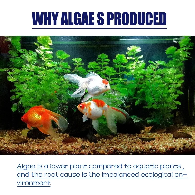 50g High Efficiency Algaecide  - огляд і ціна Aquarium Moss