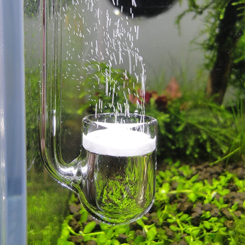 D0AD Glass CO2 Diffuser for Aq - огляд і ціна Aquarium Liquid Carbon