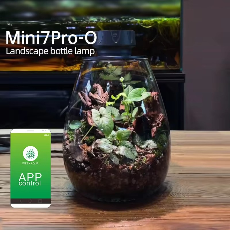 COB Microlandscape Plant Fill  - огляд і ціна Planted Tank