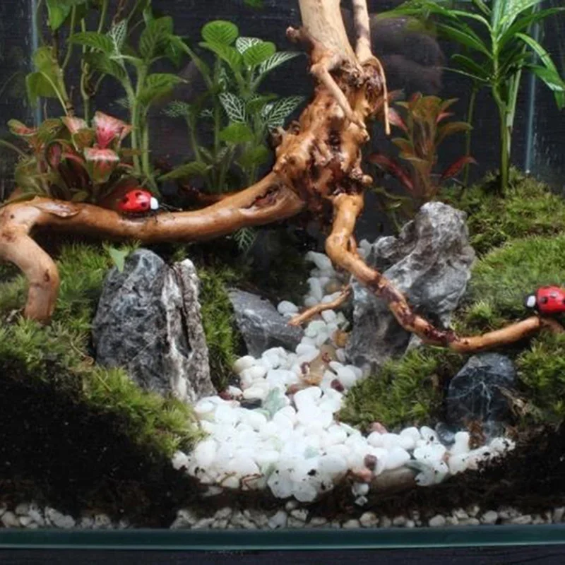 Natural Tree Trunk Driftwood A - огляд і ціна Aquarium Driftwood
