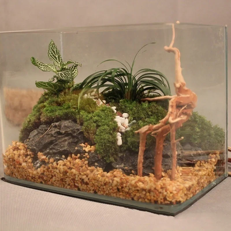 Natural Tree Trunk Driftwood A - огляд і ціна Aquarium Driftwood