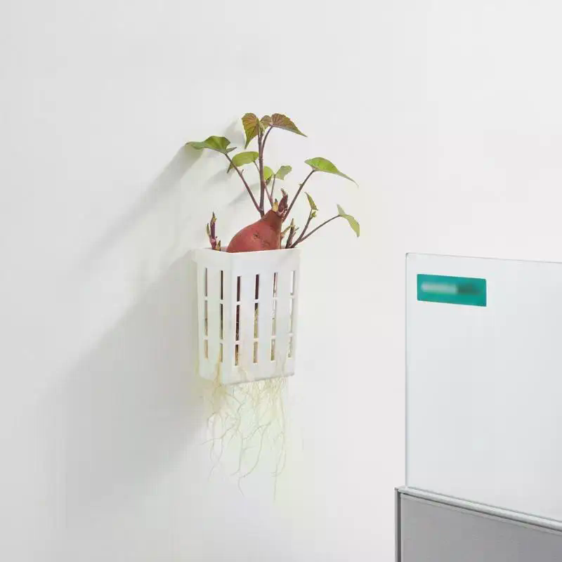 1Pcs Hydroponic Support Basket - огляд і ціна Aquarium Plant Holder