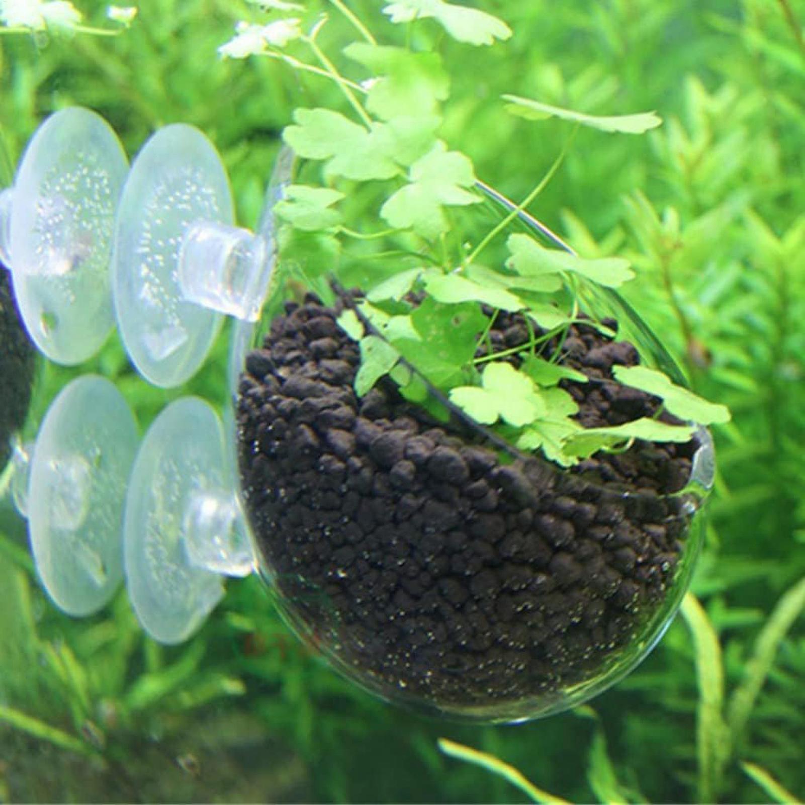Aquarium Plant Holder Glass Aq - огляд і ціна Plant Aquarium Pot