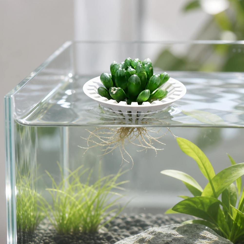 Aquarium Hydroponic Planter 3d - огляд і ціна Aquarium Plant Holder