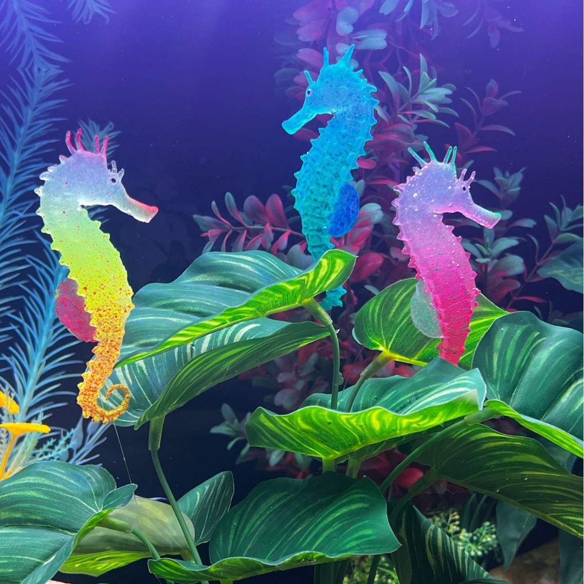 Simulated Luminous Seahorse Fi - огляд і ціна Aquarium Plant Substrate