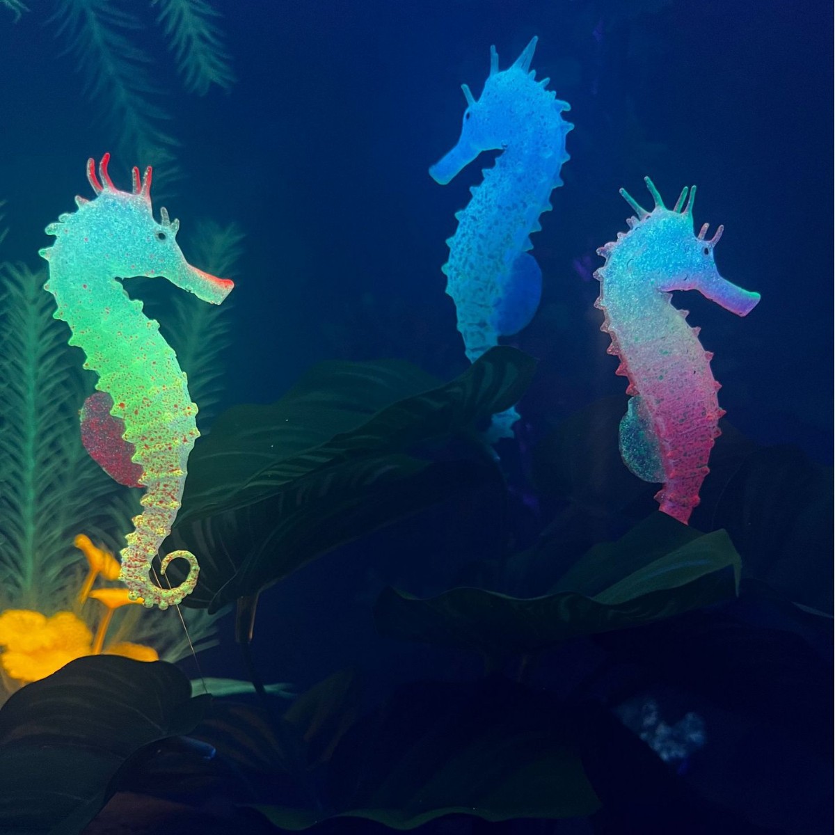 Simulated Luminous Seahorse Fi - огляд і ціна Aquarium Plant Substrate