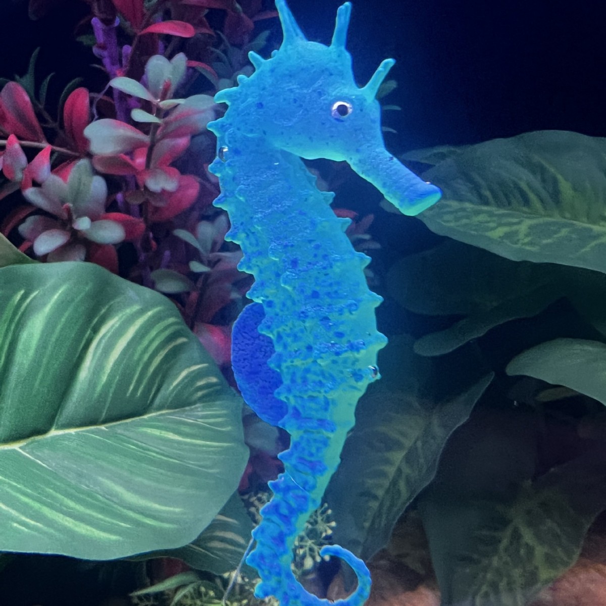 Simulated Luminous Seahorse Fi - огляд і ціна Aquarium Plant Substrate