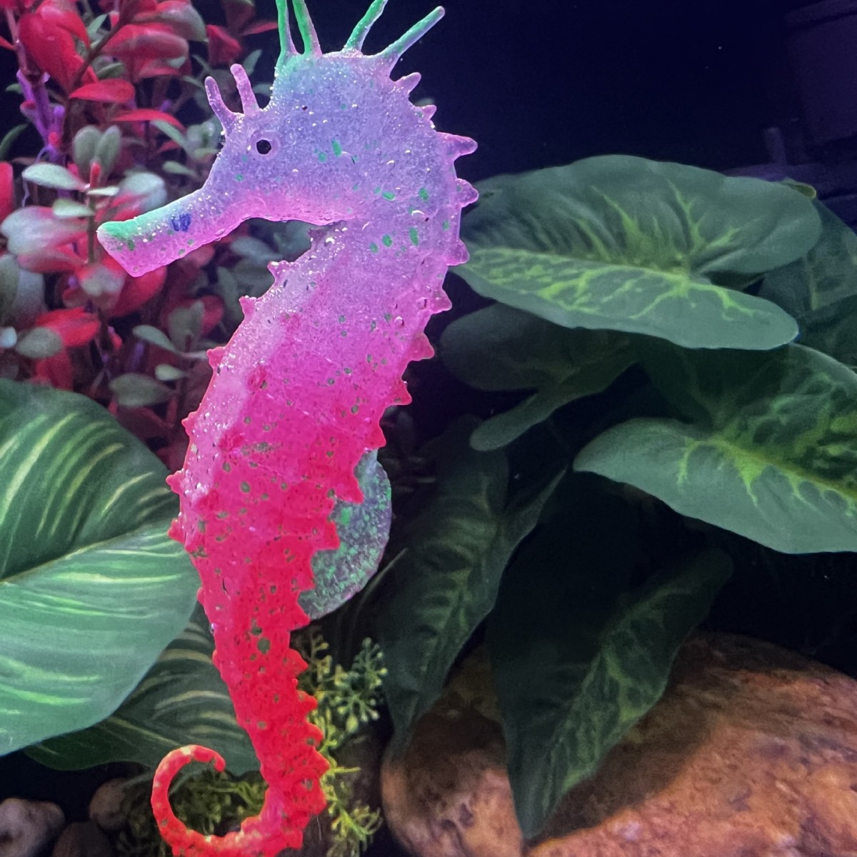 Simulated Luminous Seahorse Fi - огляд і ціна Aquarium Plant Substrate