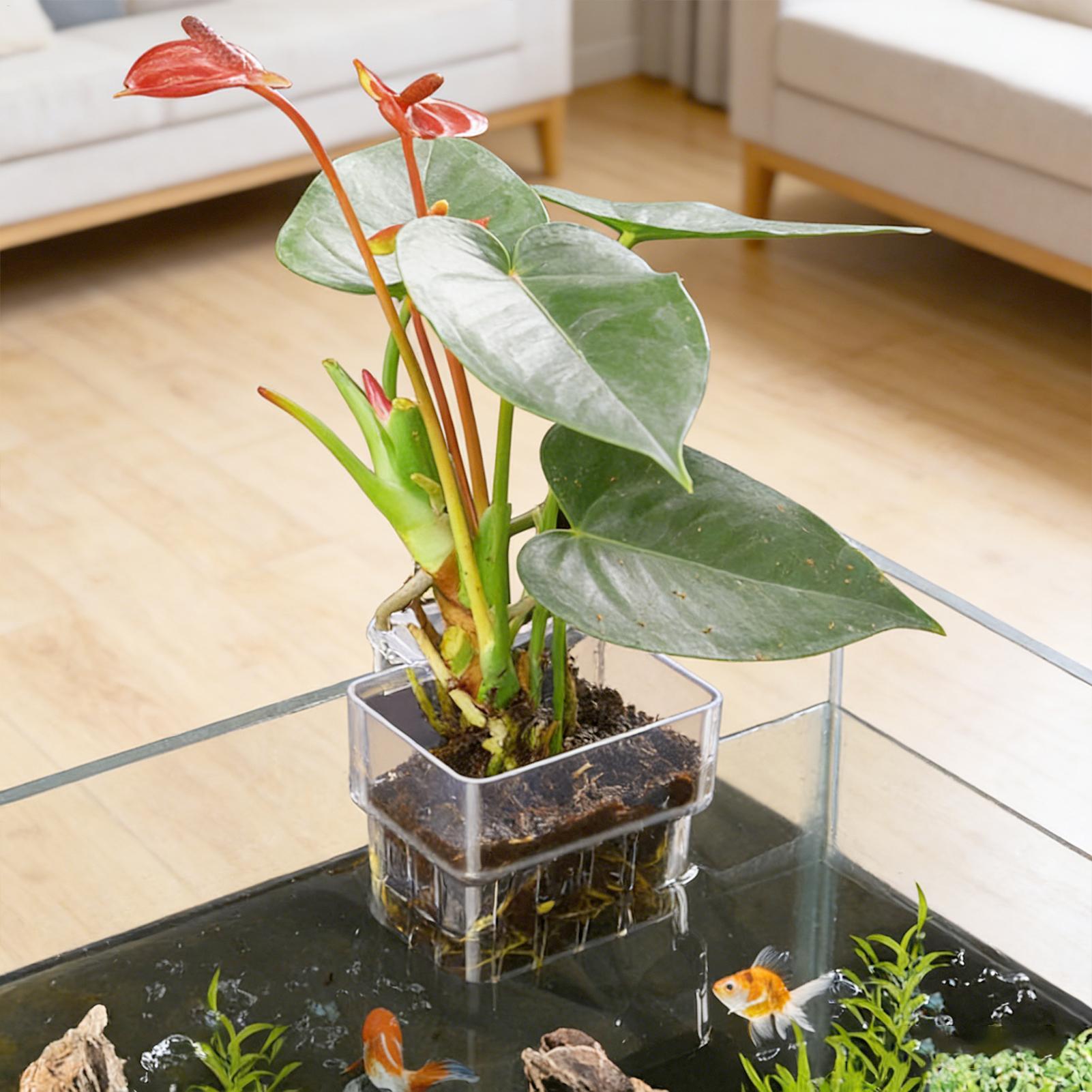 Fish Tank Fixed Basket Wall mo - огляд і ціна Aquarium Plants Live