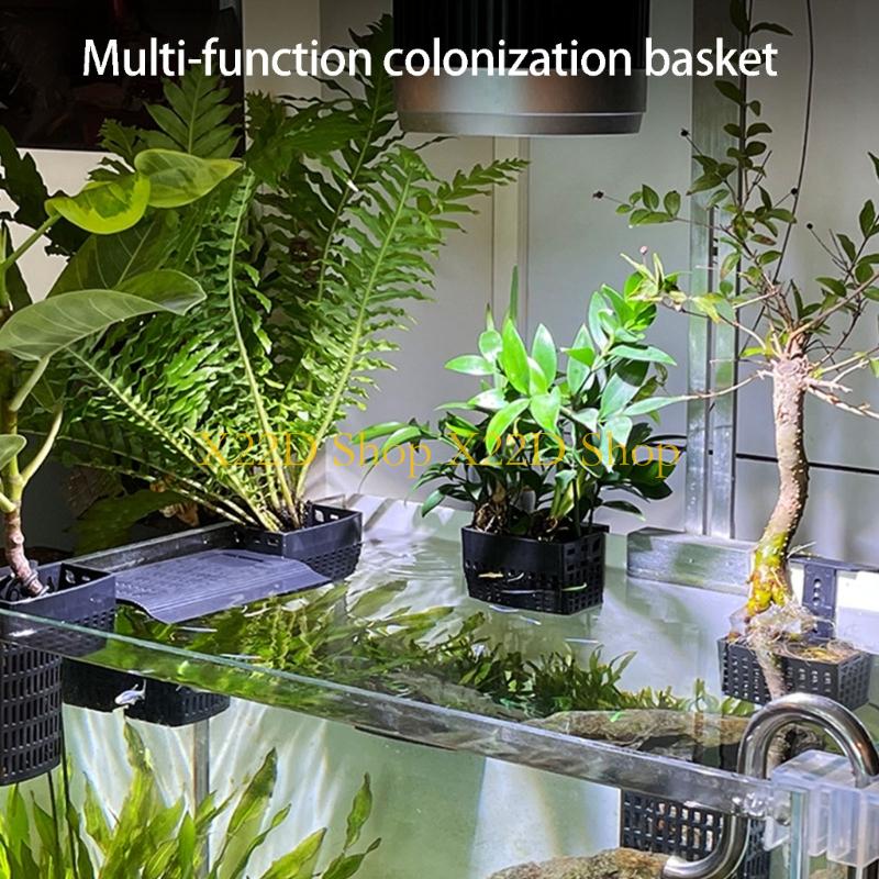 X22D Traditional Styles Vertic - огляд і ціна Aquarium Plant Holder