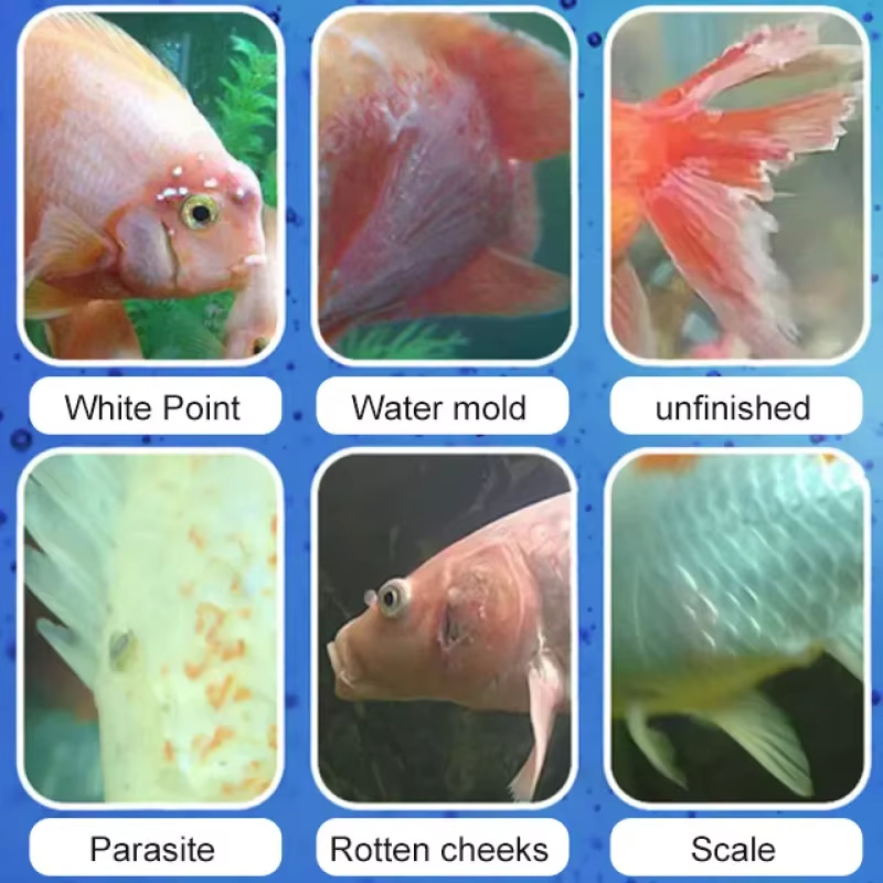 SIKEZHAN Fish Disease Treatmen - огляд і ціна Aquarium Fertilizer