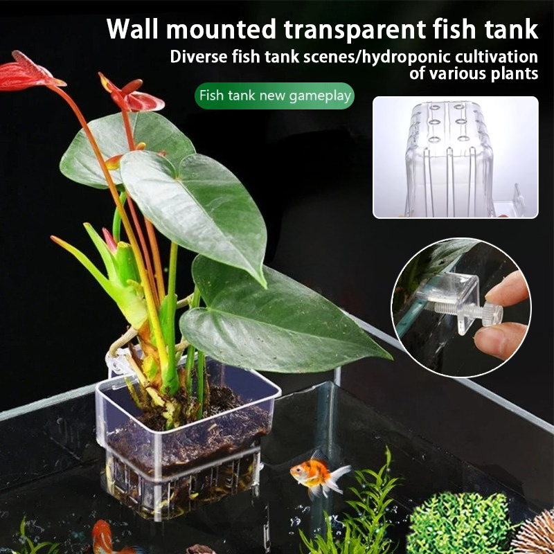 Aquarium Hanging Planter Cups  - огляд і ціна Plant Aquarium Pot