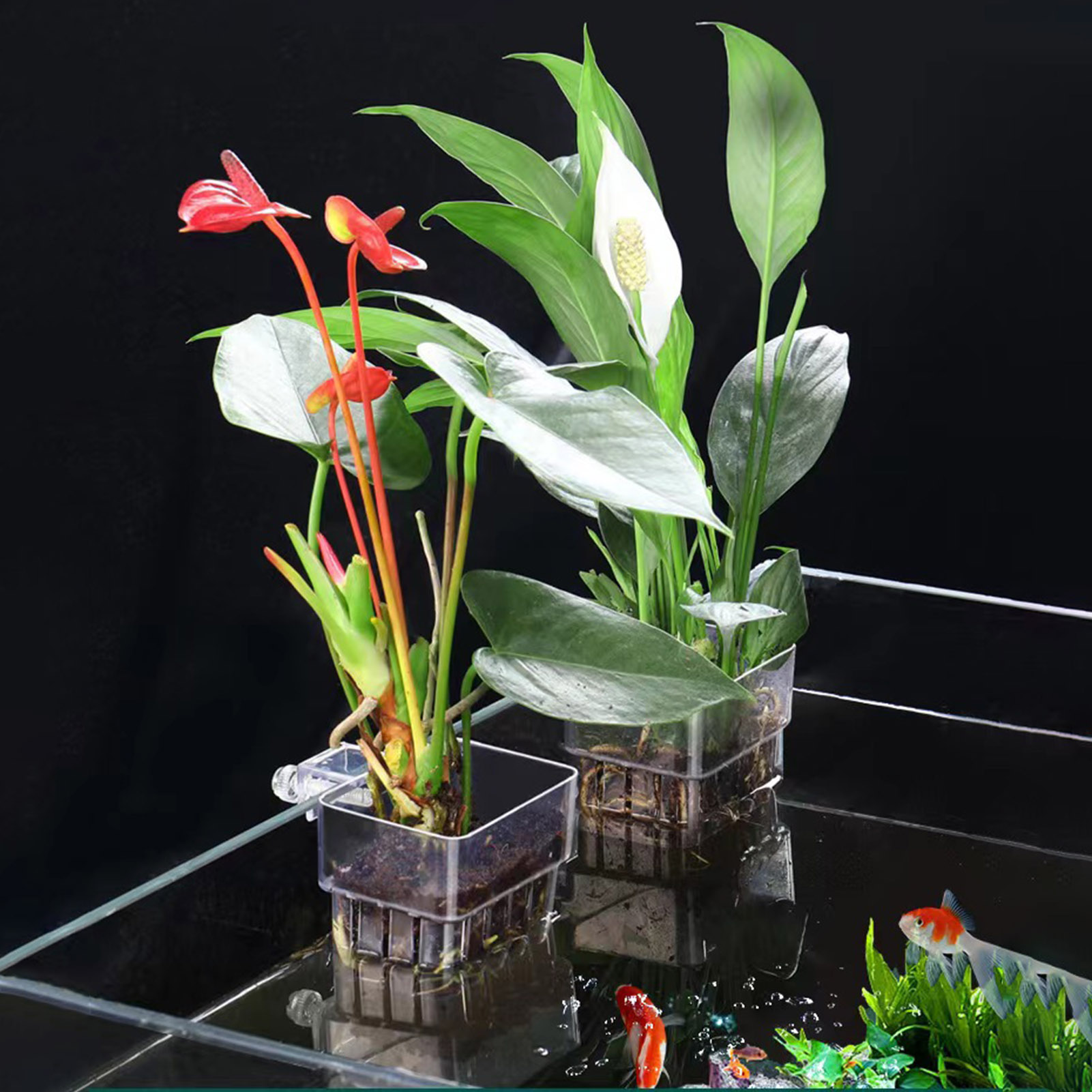 Clear Acrylic Plant Holder Hyd - огляд і ціна Aquarium Plant Holder