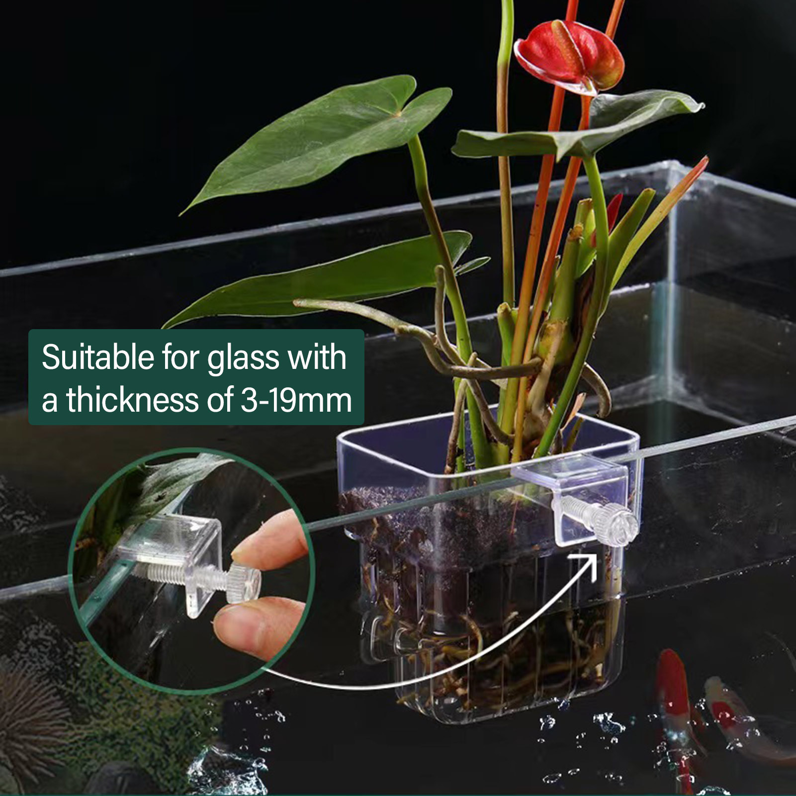 Clear Acrylic Plant Holder Hyd - огляд і ціна Aquarium Plant Holder