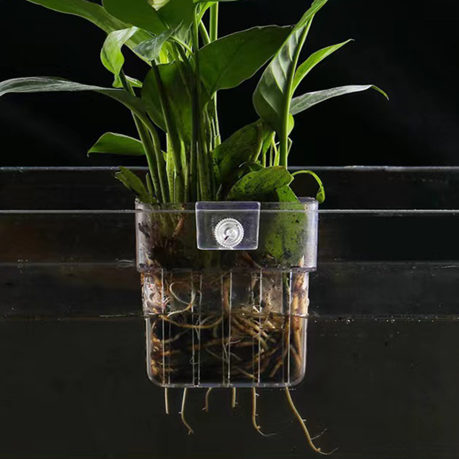 Clear Acrylic Plant Holder Hyd - огляд і ціна Aquarium Plant Holder