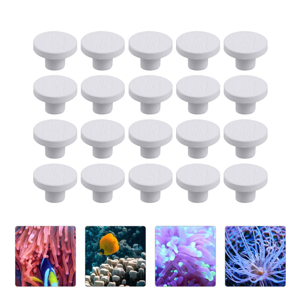 SPS Ceramic Coral Frag Plugs B - огляд і ціна Aquarium Plants Live