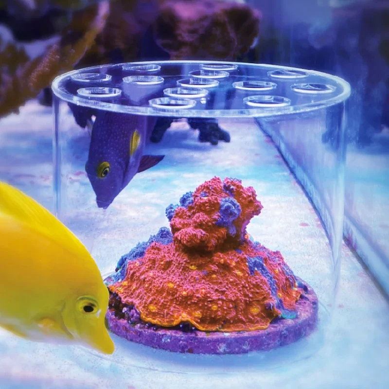 Vastocean Aquarium Arcylic Cor - огляд і ціна Aquarium Fertilizer