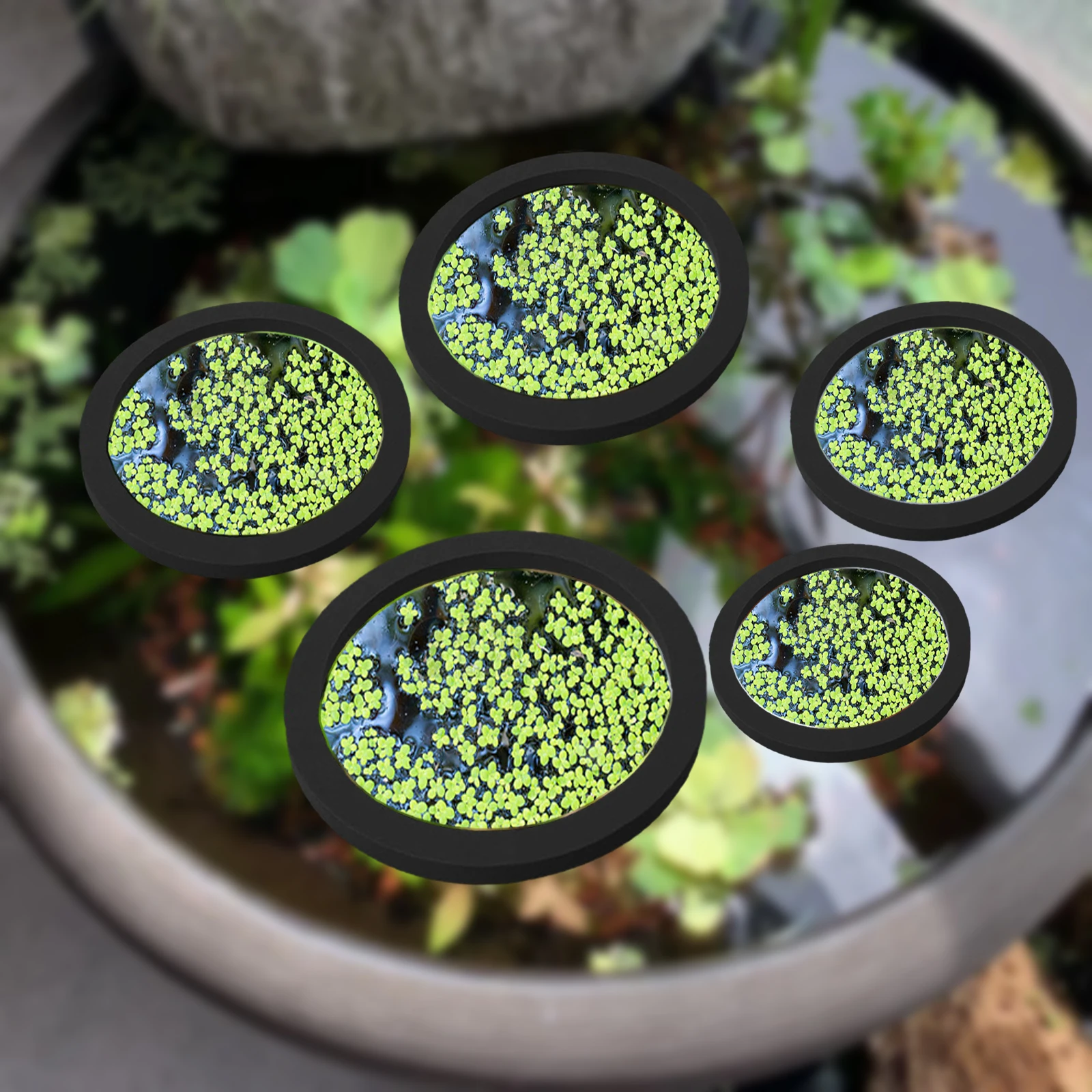 5Pcs EVA Fish Feeding Ring Aqu - огляд і ціна Planted Tank