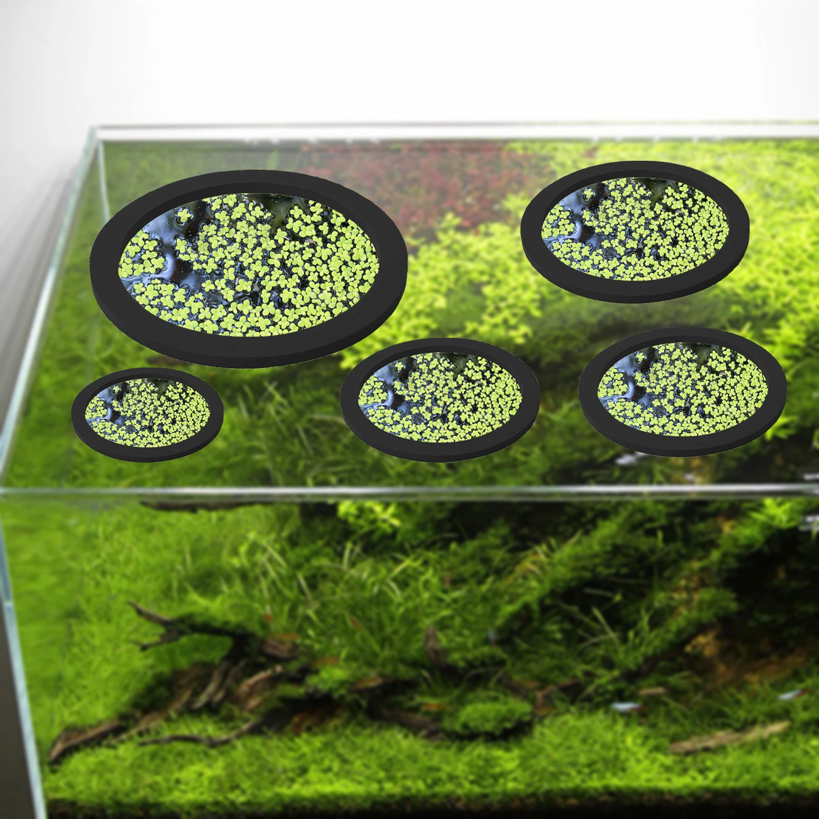 5Pcs EVA Fish Feeding Ring Aqu - огляд і ціна Planted Tank