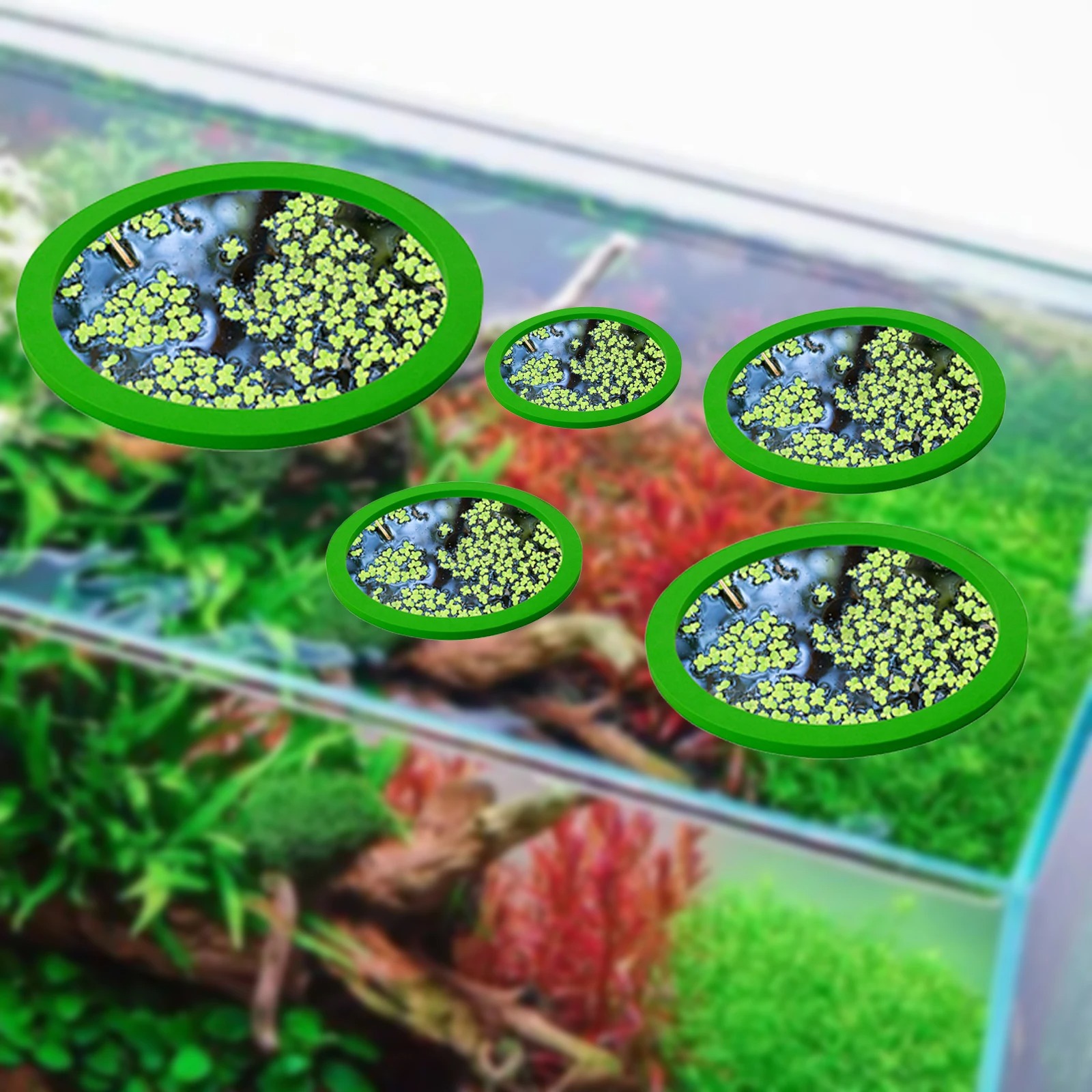 5Pcs EVA Fish Feeding Ring Aqu - огляд і ціна Planted Tank