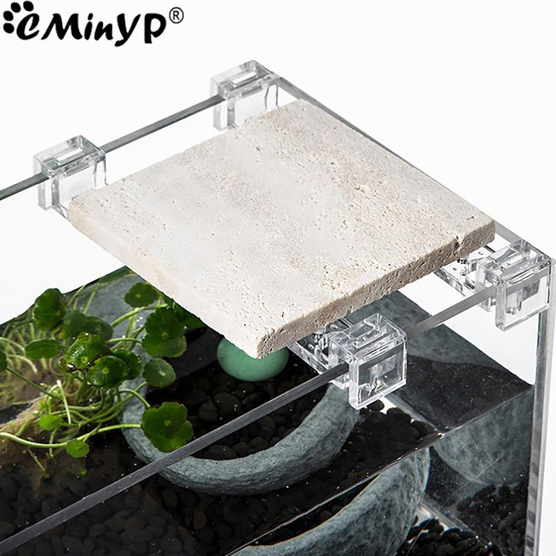 4Pcs Fish Tank Acrylic Clips f - огляд і ціна Aquarium Plant Holder