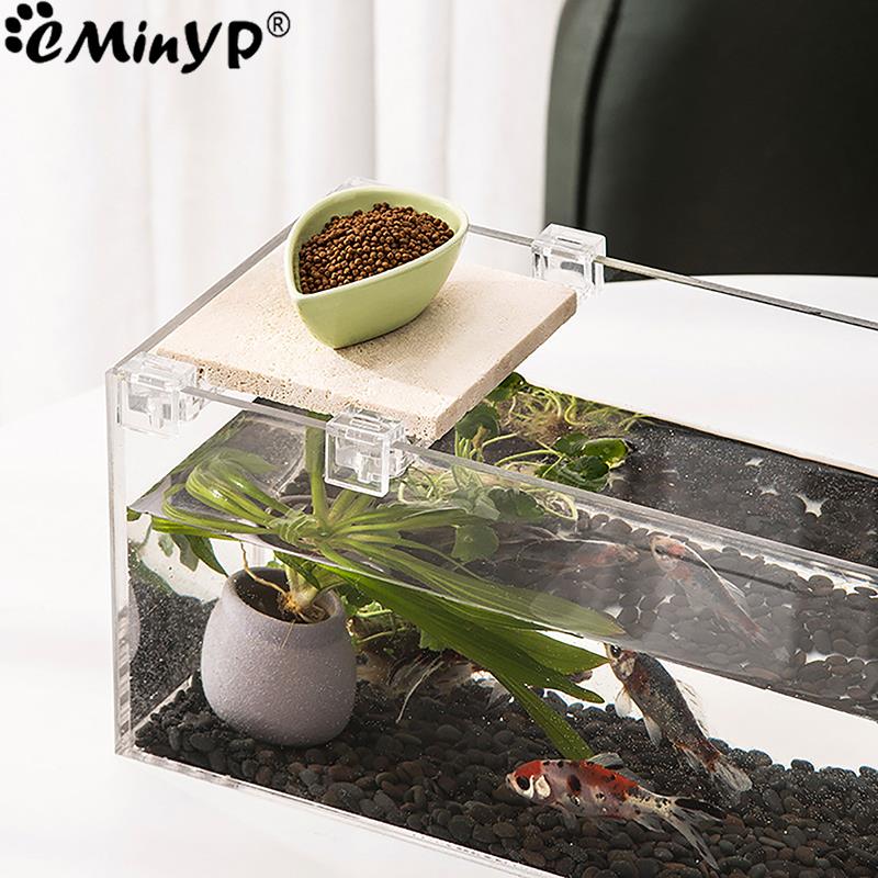 4Pcs Fish Tank Acrylic Clips f - огляд і ціна Aquarium Plant Holder