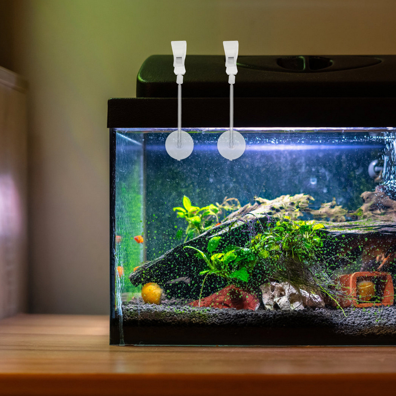 3 pcs Aquarium Fish Tank Hallo - огляд і ціна Aquarium Plant Holder