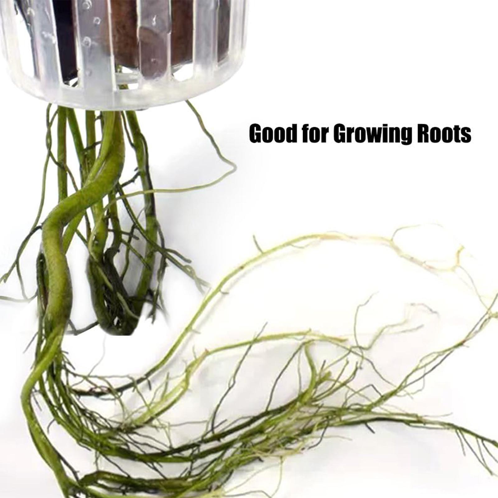 2PCS Hangable Aquatic Plant Ho - огляд і ціна Aquarium Plant Holder