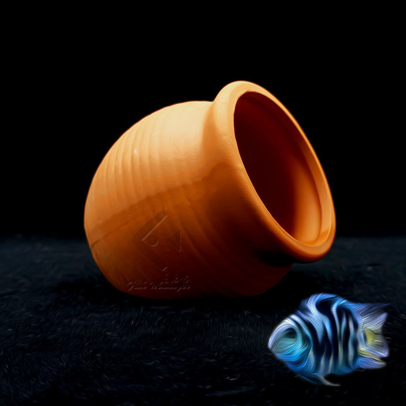 Aquarium Mini Ceramic Tank Fis - огляд і ціна Aquarium Driftwood