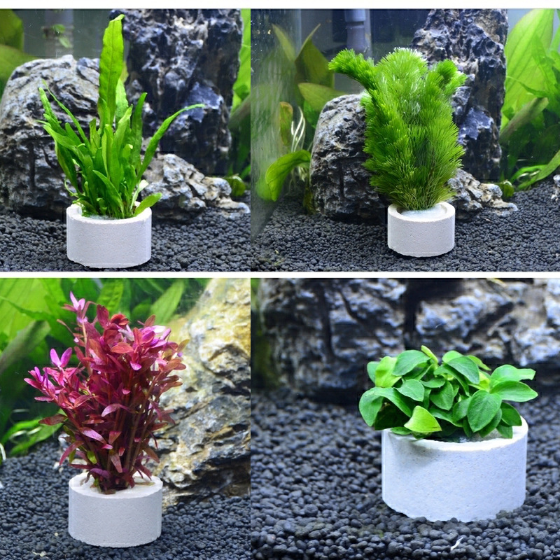 Aquarium Decoration Ceramic Ri - огляд і ціна Plant Aquarium Pot