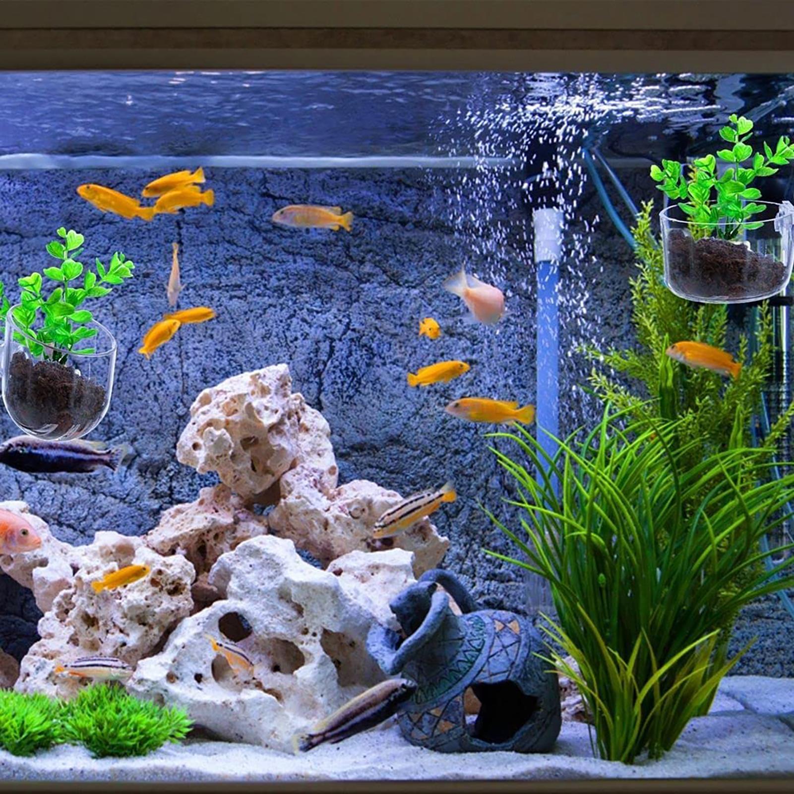 Aquatic Plant Pot Clear Acryli - огляд і ціна Plant Aquarium Pot