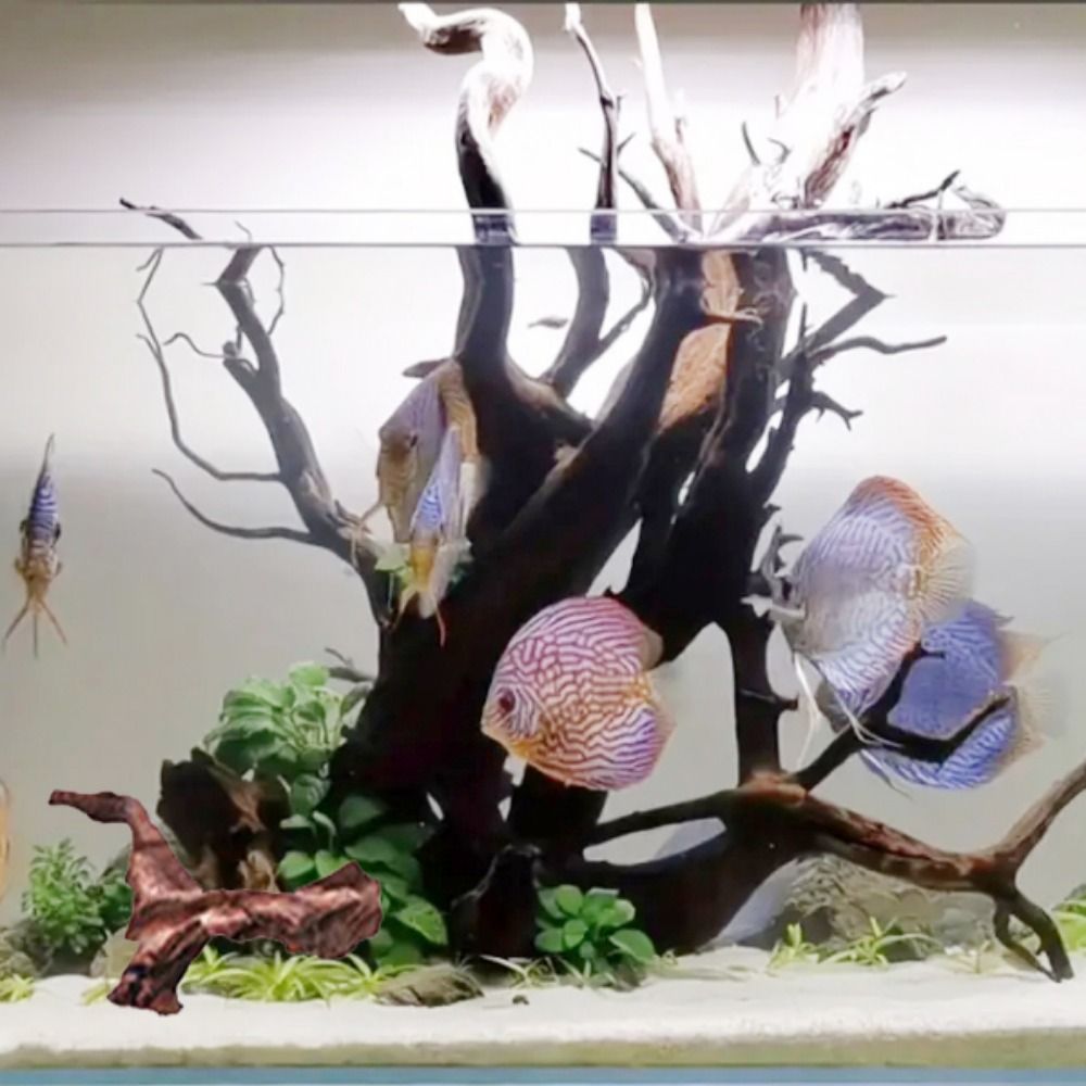 Creative Irregular Shape Coral - огляд і ціна Aquarium Driftwood