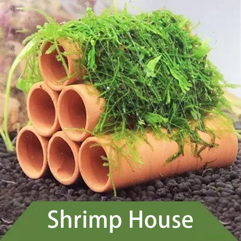 Clay Aquarium Decoration Fish  - огляд і ціна Aquarium Plants Live