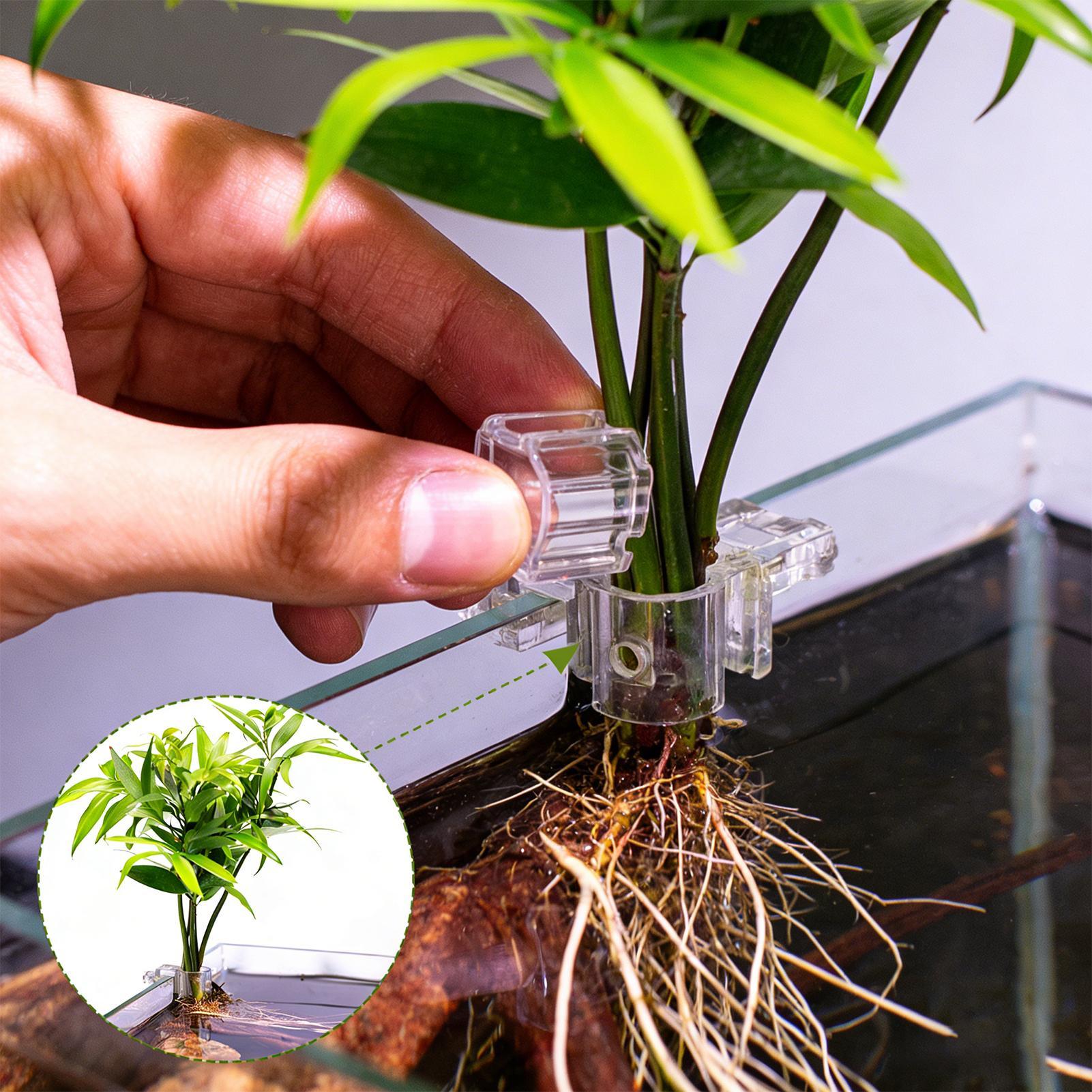 6pcs Aquarium Plant Holders Cl - огляд і ціна Aquarium Plants Live