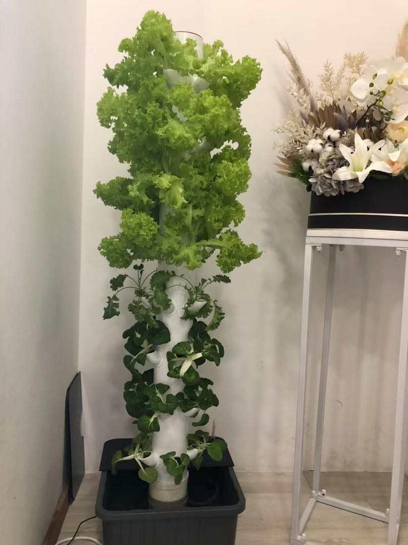 Vertical Hydroponic Grow Tower - огляд і ціна Planted Tank