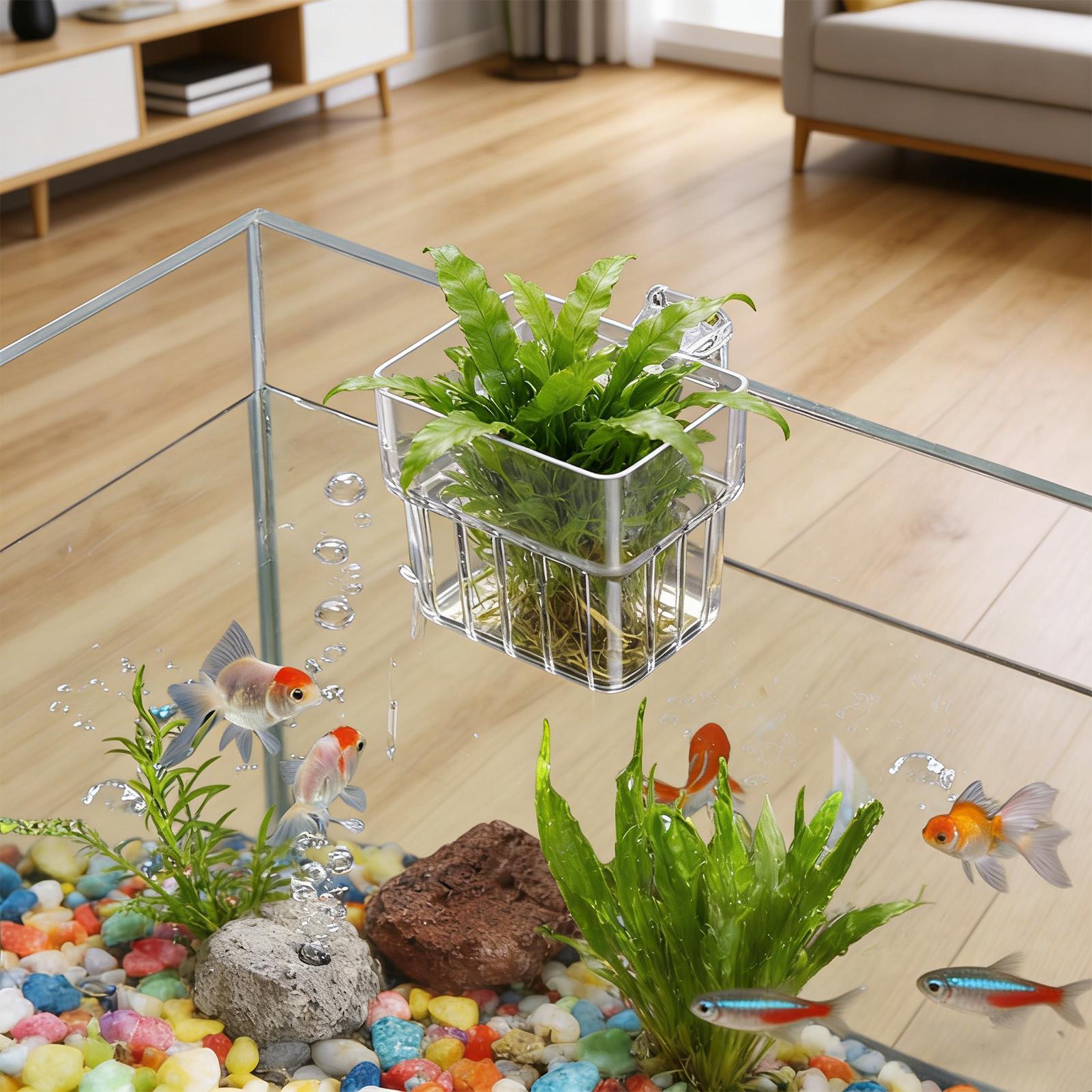 Aquarium Transparent Hanger Po - огляд і ціна Aquarium Plants Live