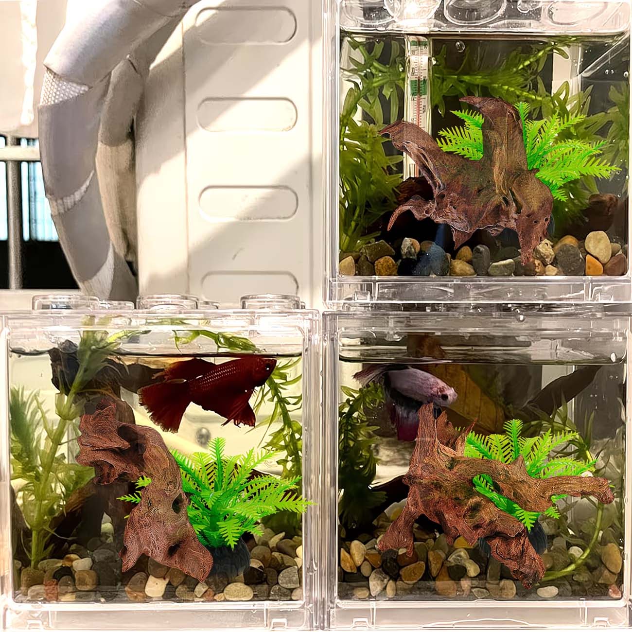 5-10CM Natural Sinkable Driftw - огляд і ціна Aquarium Driftwood