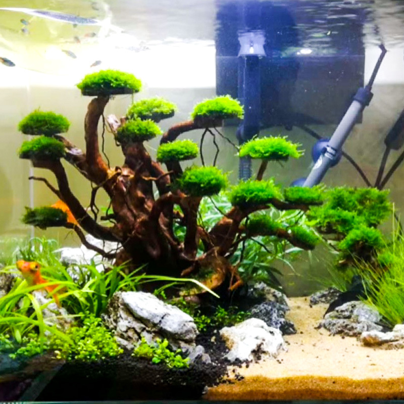 Aquarium Landscaping Moss Tree - огляд і ціна Aquarium Moss