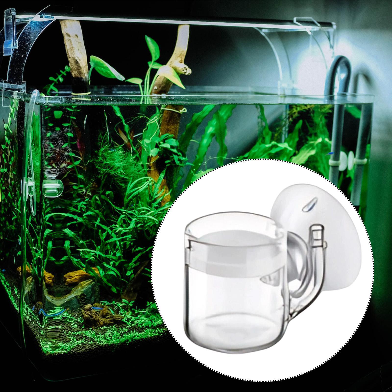 CO2 Diffuser Flat Bottom Silen - огляд і ціна Planted Aquarium Cleaning