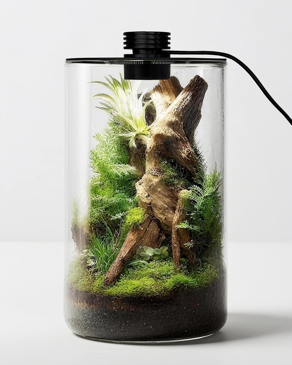 Indoor Glass Terrarium with Gr - огляд і ціна Planted Tank